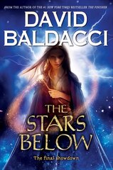 Stars Below (Vega Jane, Book 4): Volume 4 цена и информация | Книги для подростков и молодежи | kaup24.ee