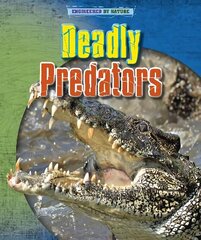 Deadly Predators цена и информация | Книги для подростков и молодежи | kaup24.ee