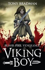 Viking Boy цена и информация | Книги для подростков и молодежи | kaup24.ee