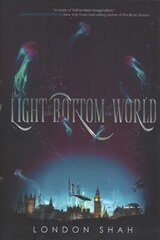The Light at the Bottom of the World: Light The Abyss #1 hind ja info | Noortekirjandus | kaup24.ee