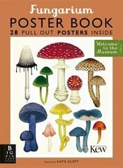 Fungarium Poster Book цена и информация | Книги для подростков и молодежи | kaup24.ee