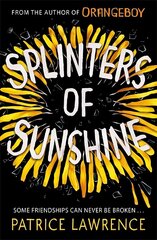 Splinters of Sunshine цена и информация | Книги для подростков и молодежи | kaup24.ee