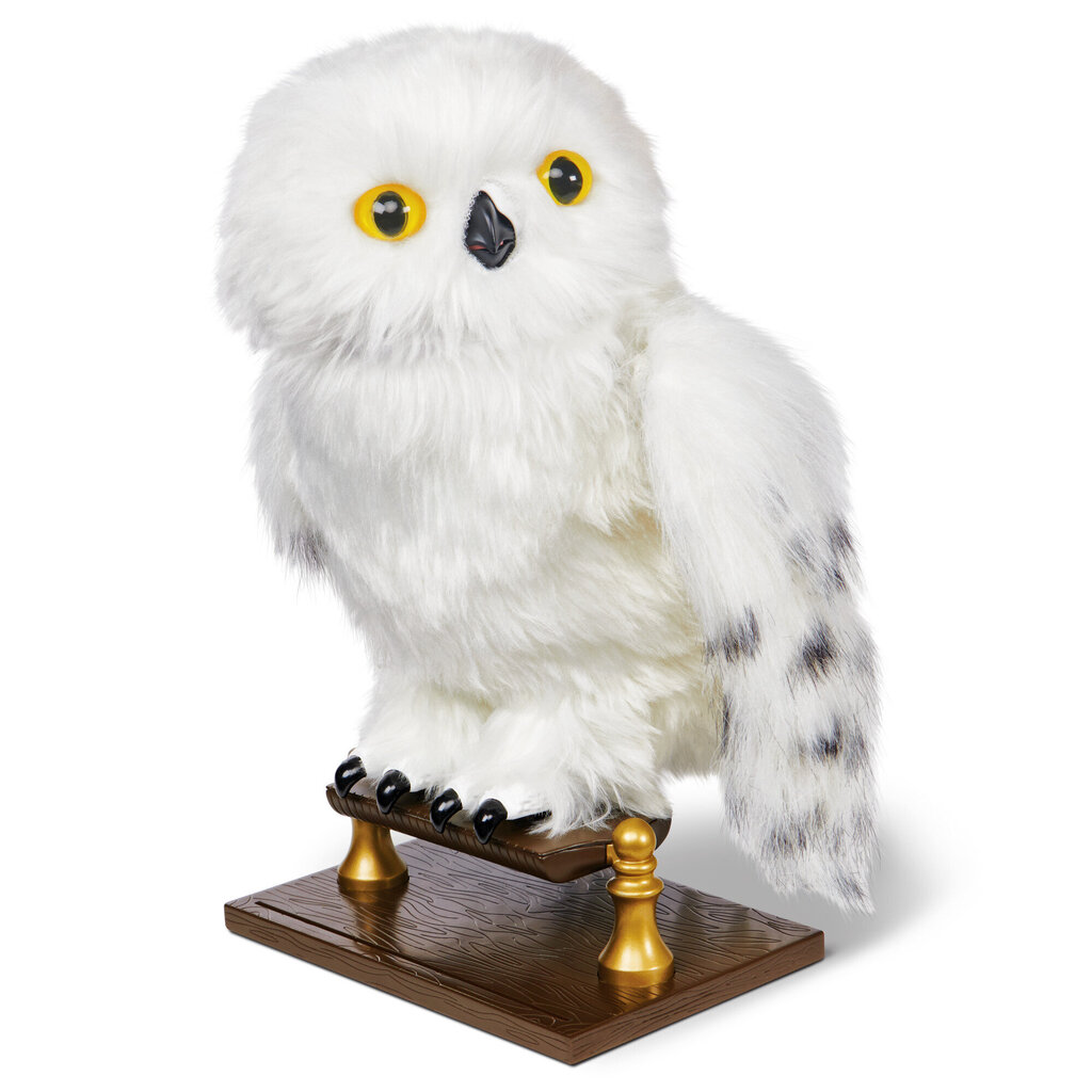 Harry Potteri öökull Harry Potter Hedwig, 30 cm цена и информация | Tüdrukute mänguasjad | kaup24.ee