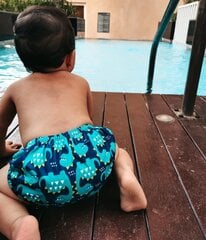 Lekkekindlad beebi ujumispüksid, korduvkasutatavad ujumismähkmed Baby Planet, 6-12 kuud (6-10 kg), suurus 68/74/80 цена и информация | Подгузники | kaup24.ee