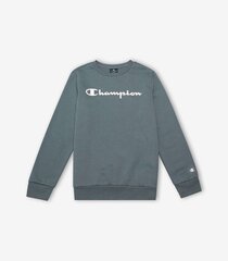 Champion детская толстовка 305360*ES017, серый 8054112596885 цена и информация | Свитеры, жилетки, пиджаки для мальчиков | kaup24.ee