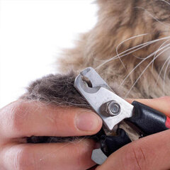 Ножницы для животных цена и информация | Средства по уходу за животными | kaup24.ee