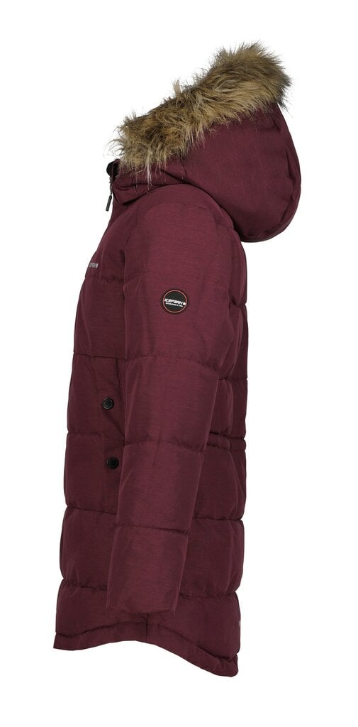 Icepeak laste parka 300g Kemah 50008-2*689, bordoo 6438522626752 цена и информация | Tüdrukute joped ja mantlid | kaup24.ee