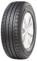 Falken LINAM VAN01 175/65R14C 90 T цена и информация | Летняя резина | kaup24.ee