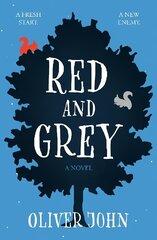 Red and Grey цена и информация | Книги для подростков и молодежи | kaup24.ee