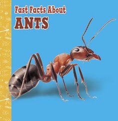 Fast Facts About Ants hind ja info | Noortekirjandus | kaup24.ee