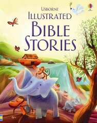 Illustrated Bible Stories hind ja info | Noortekirjandus | kaup24.ee