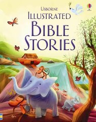 Illustrated Bible Stories цена и информация | Книги для подростков и молодежи | kaup24.ee