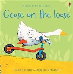 Goose on the loose цена и информация | Книги для подростков и молодежи | kaup24.ee