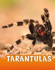 Tarantulas hind ja info | Noortekirjandus | kaup24.ee