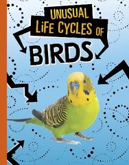 Unusual Life Cycles of Birds hind ja info | Noortekirjandus | kaup24.ee