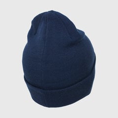 Meeste müts Nike Y Nk Cuffed Beanie Navy CW5871 410 цена и информация | Мужские шарфы, шапки, перчатки | kaup24.ee