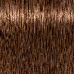 Крем для окраски волос Igora Royal Absolutes Schwarzkopf 7-460 (60 мл) цена и информация | Краска для волос | kaup24.ee