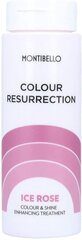 Värvust rõhutav geel Color Resurrection Montibello Ice Pink (60 ml) hind ja info | Juuksepalsamid | kaup24.ee