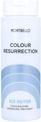 Värvust rõhutav geel Color Resurrection Montibello Ice Silver (60 ml) цена и информация | Бальзамы, кондиционеры | kaup24.ee