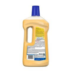 Очиститель поверхности Pronto, 1 л цена и информация | Скрабы | kaup24.ee