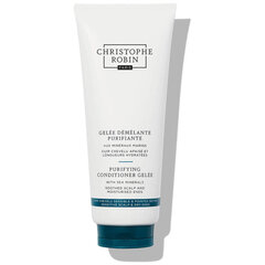 Кондиционер Christophe Robin Purifying Conditioner Gelee (200 ml) цена и информация | Бальзамы, кондиционеры | kaup24.ee