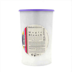Valgendaja Salerm Magic Bleach (500 Gr) цена и информация | Краска для волос | kaup24.ee