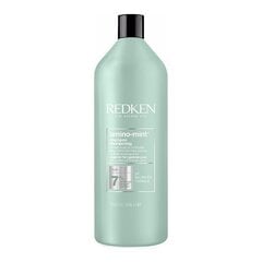 Šampoon Redken Amino Mint (1000 ml) hind ja info | Šampoonid | kaup24.ee