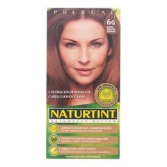 Ammoniaagivaba juuksevärv N6G Naturtint (5 pcs) hind ja info | Juuksevärvid | kaup24.ee