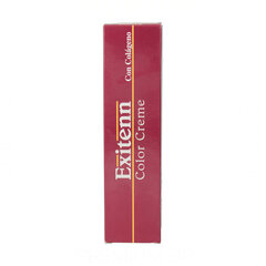 Püsivärv Exitenn Color Creme Nº 1031 (60 ml) hind ja info | Juuksevärvid | kaup24.ee