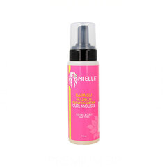 Palsam Mielle Babassu Brazilian Curly Cocktail Mousse (220 ml) hind ja info | Juuksepalsamid | kaup24.ee