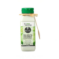 Juuksemask Curls The Green Collection Sea Kelp & Cucumber (236 ml) hind ja info | Maskid, õlid, seerumid | kaup24.ee