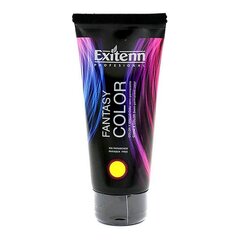 Краска для волос Fantasy Exitenn цена и информация | Краска для волос | kaup24.ee