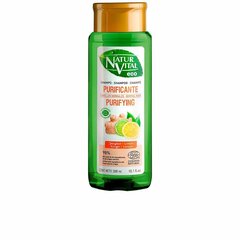 Puhastav Šampoon Naturvital Eco Sidrun Ingver (300 ml) hind ja info | Natur Vital Kosmeetika, parfüümid | kaup24.ee