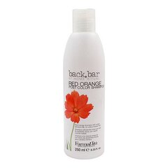 Šampoon Back Bar Farmavita Oranž (250 ml) hind ja info | Šampoonid | kaup24.ee
