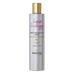 Шампунь Hair Biology Gris Radiante Pantene (250 ml) цена и информация | Шампуни | kaup24.ee