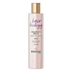 Volüümiandev šampoon Hair Biology Pantene (250 ml) hind ja info | Šampoonid | kaup24.ee