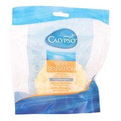 Мочалка для тела Calypso Calypso цена и информация | Масла, гели для душа | kaup24.ee