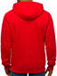 J.Style Džemprid Fleece Red 68B2008-18 68B2008-18/L цена и информация | Meeste pusad | kaup24.ee