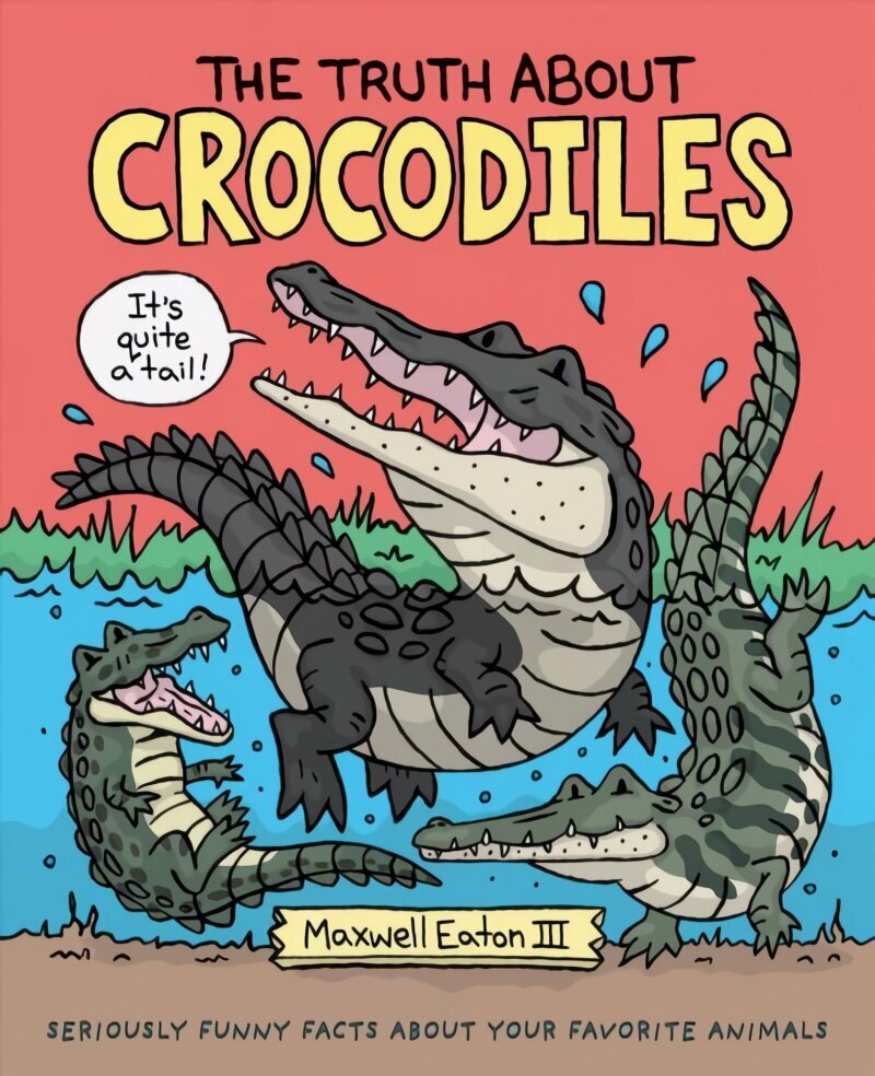 Truth About Crocodiles цена и информация | Noortekirjandus | kaup24.ee