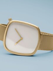 Женские часы Bering 18040-334 цена и информация | Женские часы | kaup24.ee