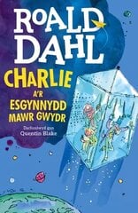 Charlie a'r Esgynnydd Mawr Gwydr цена и информация | Книги для подростков и молодежи | kaup24.ee