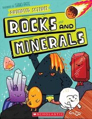 Animated Science: Rocks and Minerals цена и информация | Книги для подростков и молодежи | kaup24.ee