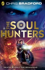 Soul Hunters цена и информация | Книги для подростков и молодежи | kaup24.ee