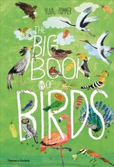 Big Book of Birds цена и информация | Книги для подростков и молодежи | kaup24.ee