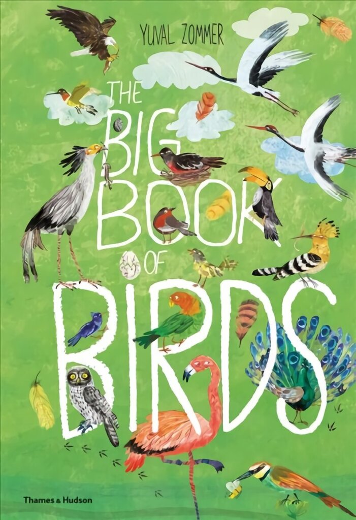 Big Book of Birds hind ja info | Noortekirjandus | kaup24.ee
