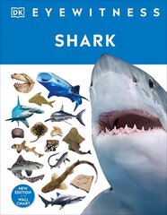 Shark цена и информация | Книги для подростков и молодежи | kaup24.ee