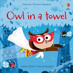 Owl in a Towel hind ja info | Noortekirjandus | kaup24.ee