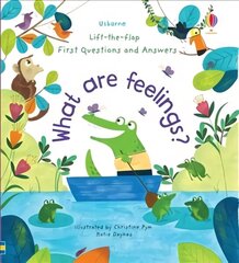 First Questions and Answers: What are Feelings? hind ja info | Noortekirjandus | kaup24.ee
