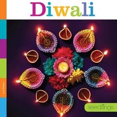 Diwali цена и информация | Книги для подростков и молодежи | kaup24.ee