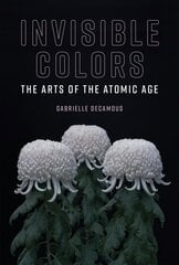 Invisible Colors: The Arts of the Atomic Age цена и информация | Книги об искусстве | kaup24.ee